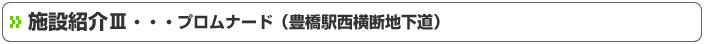 施設紹介Ⅲ･･･プロムナード（駅西交差点横断地下道）